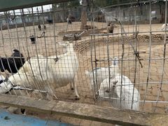 -武汉紫薇都市田园