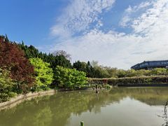 -嘉定紫藤园