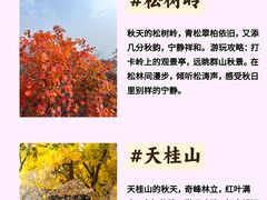 -石家庄市植物园