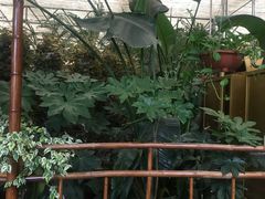-金稼园·金平湖农家菜