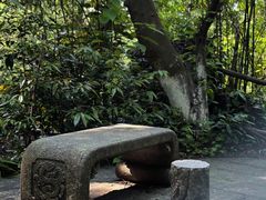 -水濂山森林公园