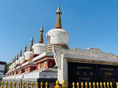 -塔尔寺