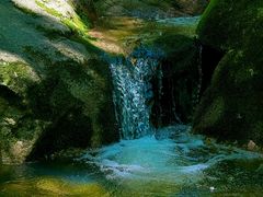 -王顺山国家森林公园