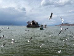 -小普陀