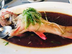 -皇朝会.经典传统粤菜(外滩店)