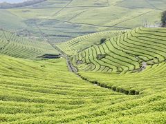 -浙江万里学院(钱湖校区)