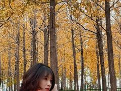 -艾溪湖湿地公园