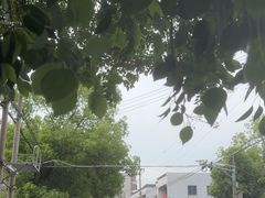 -花园菜市场
