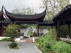 -东平国家森林公园