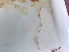 -马白开来特色羊排揪片子  (总店)