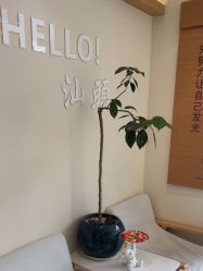 -可樱汇·美容洗发SPA