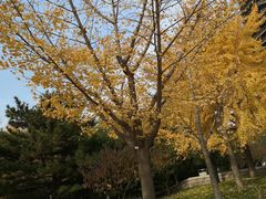 -玲珑塔公园
