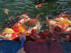 -云漫湖生态度假公园