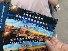 -陕西自然博物馆