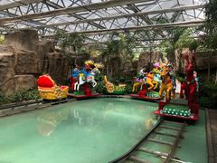 -南宫五洲植物乐园