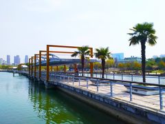 -白塘生态植物园