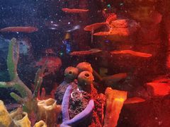 -沈阳海洋探索中心