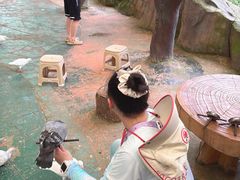 -西霞口神雕山野生动物世界