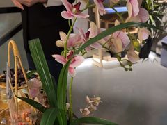 -施奈儿.洗头頭療.按摩SPA.采耳(上梅林店)