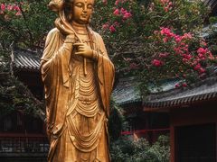 -黔灵山公园