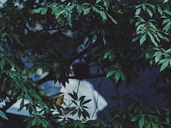 -成都许燎源现代设计艺术博物馆
