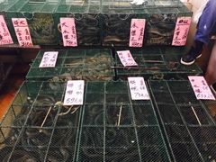 -荔城生鲜盛宴(番禺旗舰店)