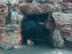 -石家庄市动物园