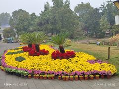 -国家植物园南园