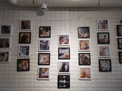 -平行世界·猫咖(首经贸店)