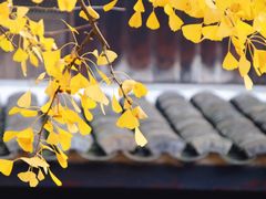 -鄞州雪菜博物馆