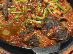 -老板恋上鱼(恒隆广场店)