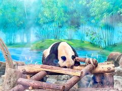 -杭州动物园
