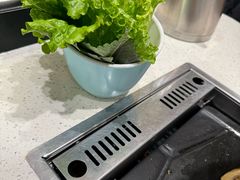 -韩时烤肉(丰科万达广场店)