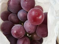 -美家乐农庄·露营·团建(大治路店)