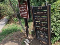 -蓬莱阁景区