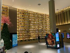 -深影国际影城(学院南路店CGS中国巨幕店)