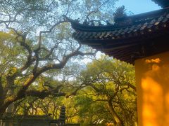 -普陀山风景名胜区-法雨禅寺