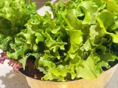 -炭之家齐齐哈尔大片烤肉·涮毛肚火锅·齐齐哈尔烤肉(中央大街店)