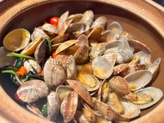 -陈鹏鹏潮汕菜(世界之窗店)