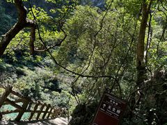 -大七孔景区-天生桥