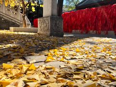 -红螺寺