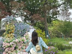 -上海鲜花港
