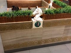 -诺敏塔拉奶茶-布里亚特包子-手把肉(锦都会店)