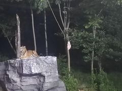 -宁波野生动物园