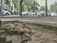 -北京市海淀区妇幼保健院(本部院区)