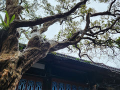 -都江堰景区