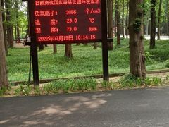 -日照海滨国家森林公园