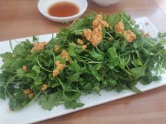 -海胆小馆(东北水饺·春柳店)