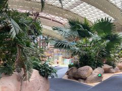 -杭州开元森泊度假乐园