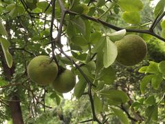 -四川大学(华西校区)